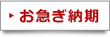 お急ぎ染めのれん